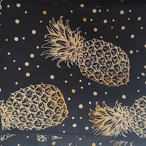 CVG ~ Constantly Varied Gear Fineapple 2.5in Shorts Large - Picture 2 of 4